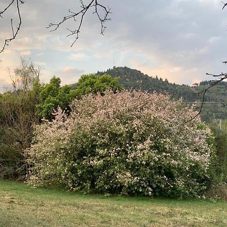 Villa Laragh-On-Hogsback Extérieur photo